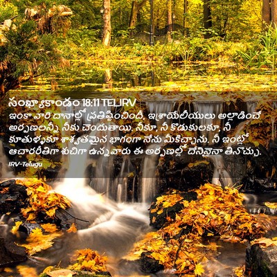 Picture 02 - సంఖ్యాకాండం 18:11 TELIRV - ఇంకా వారి - Bible Verse Picture