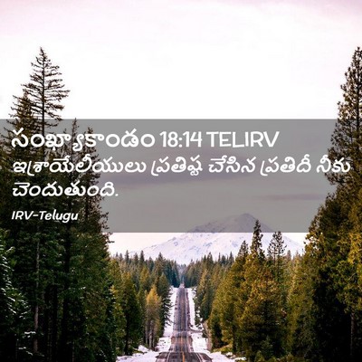Picture 02 - సంఖ్యాకాండం 18:14 TELIRV - ఇశ్రాయేలీయులు - Bible Verse Picture