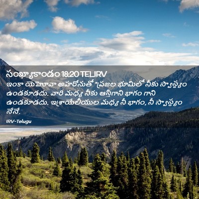Picture 02 - సంఖ్యాకాండం 18:20 TELIRV - ఇంకా యెహోవా - Bible Verse Picture