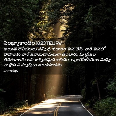 Picture 02 - సంఖ్యాకాండం 18:23 TELIRV - అయితే లేవీయులు - Bible Verse Picture
