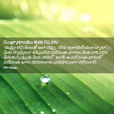 Picture 02 - సంఖ్యాకాండం 18:26 TELIRV - “నువ్వు లేవీయులతో - Bible Verse Picture