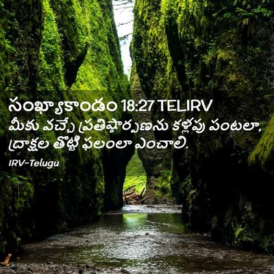 Picture 02 - సంఖ్యాకాండం 18:27 TELIRV - మీకు వచ్చే - Bible Verse Picture