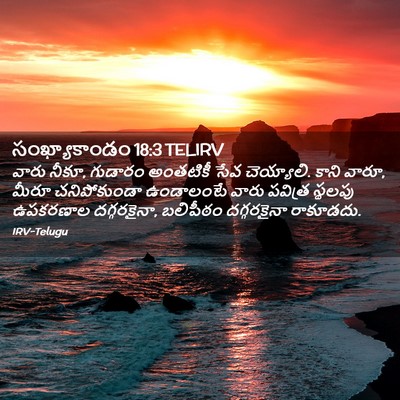 Picture 02 - సంఖ్యాకాండం 18:3 TELIRV - వారు నీకూ, గుడారం - Bible Verse Picture