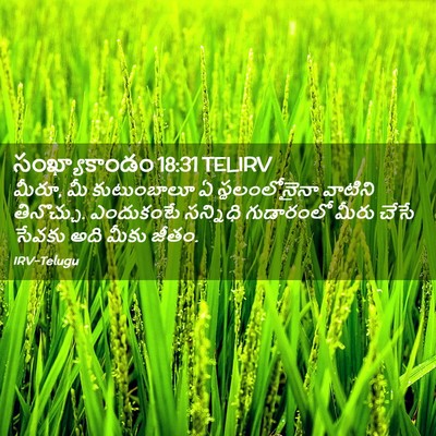 Picture 02 - సంఖ్యాకాండం 18:31 TELIRV - మీరూ, మీ కుటుంబాలూ - Bible Verse Picture