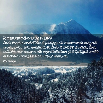 Picture 02 - సంఖ్యాకాండం 18:32 TELIRV - మీరు పొందిన - Bible Verse Picture