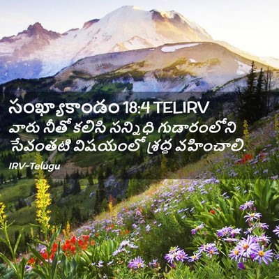 Picture 02 - సంఖ్యాకాండం 18:4 TELIRV - వారు నీతో కలిసి - Bible Verse Picture
