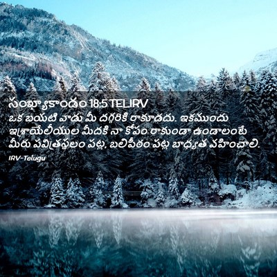 Picture 02 - సంఖ్యాకాండం 18:5 TELIRV - ఒక బయటి వాడు మీ - Bible Verse Picture