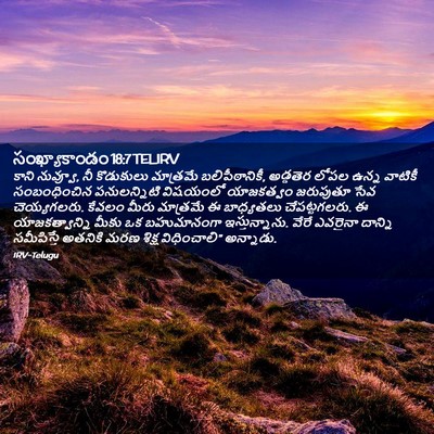 Picture 02 - సంఖ్యాకాండం 18:7 TELIRV - కాని నువ్వూ, నీ - Bible Verse Picture