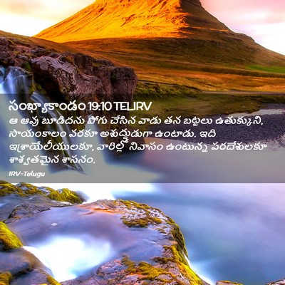 Picture 02 - సంఖ్యాకాండం 19:10 TELIRV - ఆ ఆవు బూడిదను పోగు - Bible Verse Picture