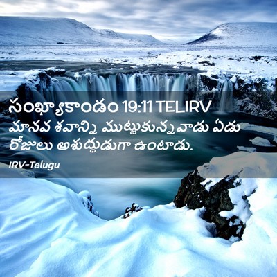 Picture 02 - సంఖ్యాకాండం 19:11 TELIRV - మానవ శవాన్ని - Bible Verse Picture