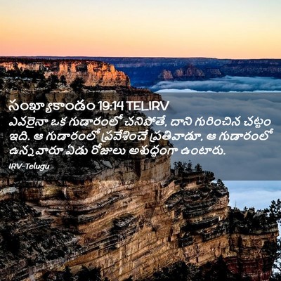 Picture 02 - సంఖ్యాకాండం 19:14 TELIRV - ఎవరైనా ఒక - Bible Verse Picture