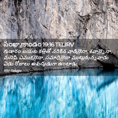 Picture 02 - సంఖ్యాకాండం 19:16 TELIRV - గుడారం బయట - Bible Verse Picture