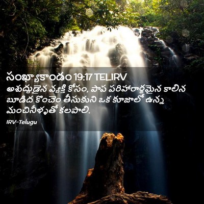 Picture 02 - సంఖ్యాకాండం 19:17 TELIRV - అశుద్ధుడైన - Bible Verse Picture