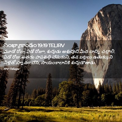 Picture 02 - సంఖ్యాకాండం 19:19 TELIRV - మూడో రోజు, ఏడో - Bible Verse Picture