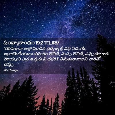 Picture 02 - సంఖ్యాకాండం 19:2 TELIRV - “యెహోవా - Bible Verse Picture
