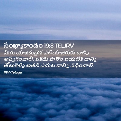 Picture 02 - సంఖ్యాకాండం 19:3 TELIRV - మీరు యాజకుడైన - Bible Verse Picture