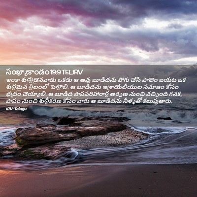 Picture 02 - సంఖ్యాకాండం 19:9 TELIRV - ఇంకా - Bible Verse Picture