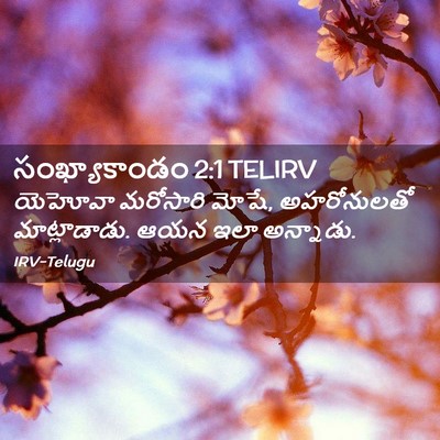 Picture 02 - సంఖ్యాకాండం 2:1 TELIRV - యెహోవా మరోసారి - Bible Verse Picture