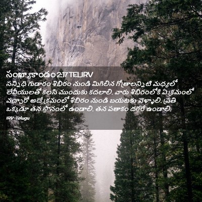 Picture 02 - సంఖ్యాకాండం 2:17 TELIRV - సన్నిధి గుడారం - Bible Verse Picture