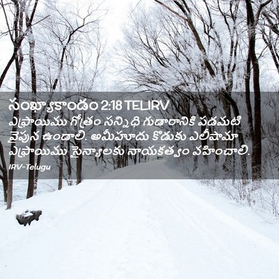Picture 02 - సంఖ్యాకాండం 2:18 TELIRV - ఎఫ్రాయిము గోత్రం - Bible Verse Picture
