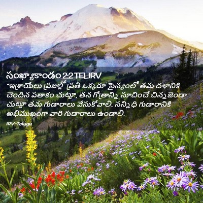 Picture 02 - సంఖ్యాకాండం 2:2 TELIRV - “ఇశ్రాయేలు - Bible Verse Picture