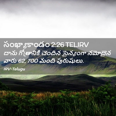 Picture 02 - సంఖ్యాకాండం 2:26 TELIRV - దాను గోత్రానికి - Bible Verse Picture