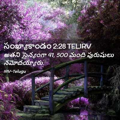 Picture 02 - సంఖ్యాకాండం 2:28 TELIRV - అతని సైన్యంగా 41, 500 - Bible Verse Picture