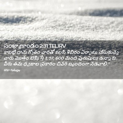 Picture 02 - సంఖ్యాకాండం 2:31 TELIRV - కాబట్టి దాను - Bible Verse Picture