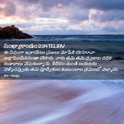 Picture 02 - సంఖ్యాకాండం 2:34 TELIRV - ఈ విధంగా - Bible Verse Picture