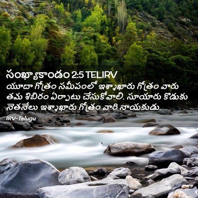 Picture 02 - సంఖ్యాకాండం 2:5 TELIRV - యూదా గోత్రం - Bible Verse Picture