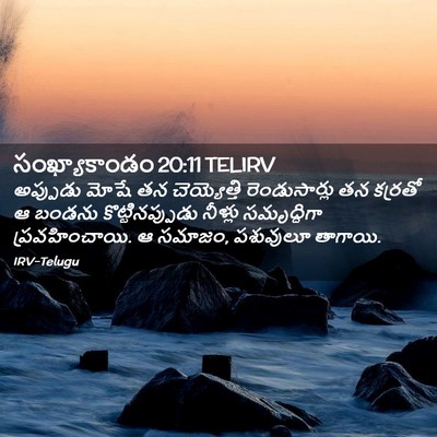 Picture 02 - సంఖ్యాకాండం 20:11 TELIRV - అప్పుడు మోషే తన - Bible Verse Picture