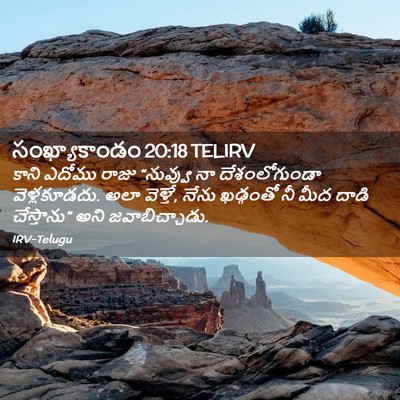Picture 02 - సంఖ్యాకాండం 20:18 TELIRV - కాని ఎదోము రాజు - Bible Verse Picture