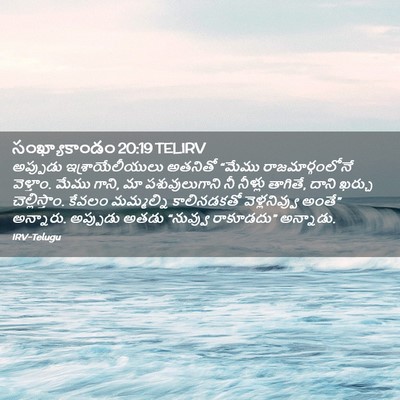 Picture 02 - సంఖ్యాకాండం 20:19 TELIRV - అప్పుడు - Bible Verse Picture