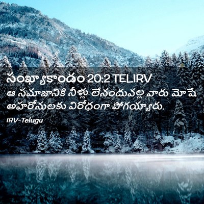 Picture 02 - సంఖ్యాకాండం 20:2 TELIRV - ఆ సమాజానికి - Bible Verse Picture