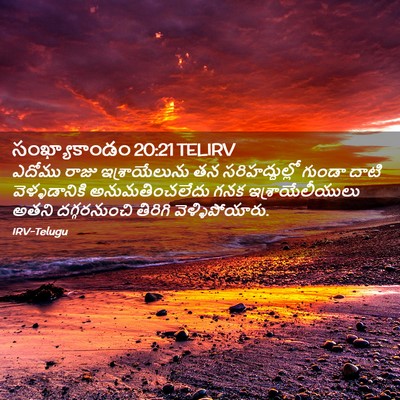 Picture 02 - సంఖ్యాకాండం 20:21 TELIRV - ఎదోము రాజు - Bible Verse Picture
