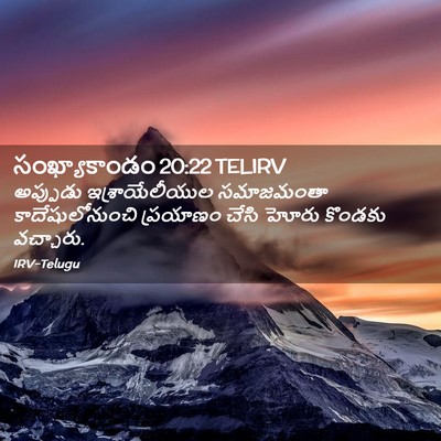 Picture 02 - సంఖ్యాకాండం 20:22 TELIRV - అప్పుడు - Bible Verse Picture