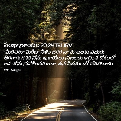 Picture 02 - సంఖ్యాకాండం 20:24 TELIRV - “మీరిద్దరూ మెరీబా - Bible Verse Picture