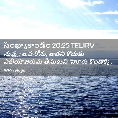 Picture 02 - సంఖ్యాకాండం 20:25 TELIRV - నువ్వు అహరోను, - Bible Verse Picture