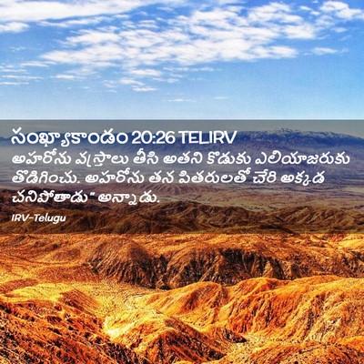 Picture 02 - సంఖ్యాకాండం 20:26 TELIRV - అహరోను వస్త్రాలు - Bible Verse Picture