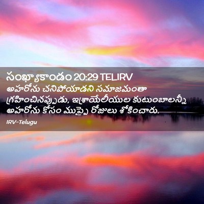 Picture 02 - సంఖ్యాకాండం 20:29 TELIRV - అహరోను చనిపోయాడని - Bible Verse Picture