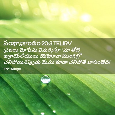 Picture 02 - సంఖ్యాకాండం 20:3 TELIRV - ప్రజలు మోషేను - Bible Verse Picture