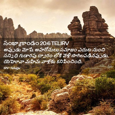 Picture 02 - సంఖ్యాకాండం 20:6 TELIRV - అప్పుడు మోషే - Bible Verse Picture