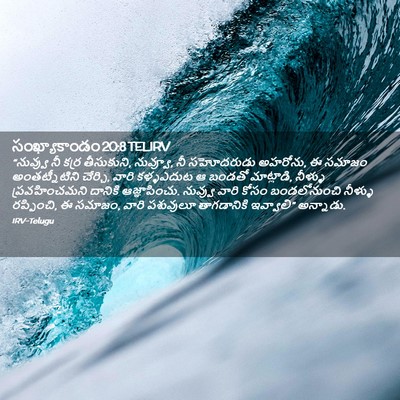 Picture 02 - సంఖ్యాకాండం 20:8 TELIRV - “నువ్వు నీ కర్ర - Bible Verse Picture