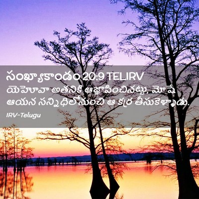 Picture 02 - సంఖ్యాకాండం 20:9 TELIRV - యెహోవా అతనికి - Bible Verse Picture