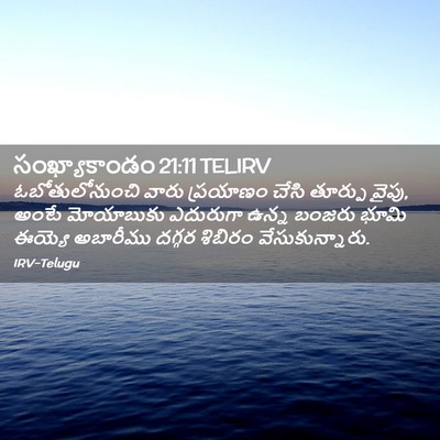 Picture 02 - సంఖ్యాకాండం 21:11 TELIRV - ఓబోతులోనుంచి వారు - Bible Verse Picture