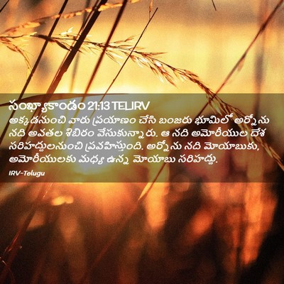 Picture 02 - సంఖ్యాకాండం 21:13 TELIRV - అక్కడనుంచి వారు - Bible Verse Picture