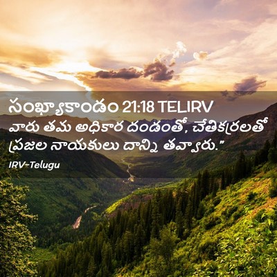 Picture 02 - సంఖ్యాకాండం 21:18 TELIRV - వారు తమ అధికార - Bible Verse Picture