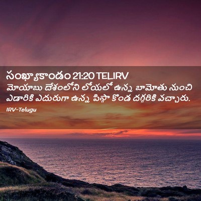 Picture 02 - సంఖ్యాకాండం 21:20 TELIRV - మోయాబు దేశంలోని - Bible Verse Picture