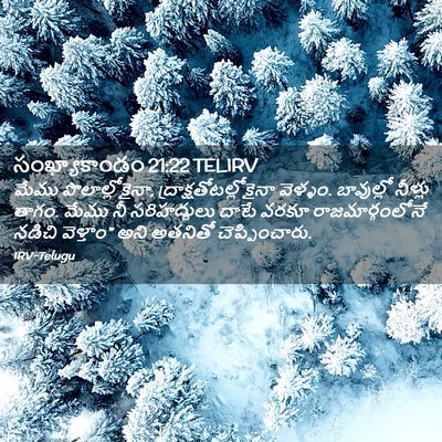 Picture 02 - సంఖ్యాకాండం 21:22 TELIRV - మేము - Bible Verse Picture