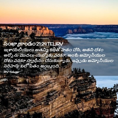 Picture 02 - సంఖ్యాకాండం 21:24 TELIRV - ఇశ్రాయేలీయులు - Bible Verse Picture